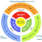 Understanding the Wellness Tree Approach