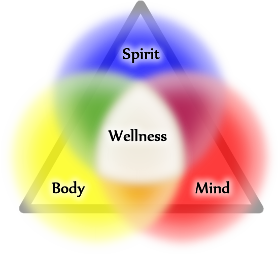 Mechanics of true Holistic Wellness